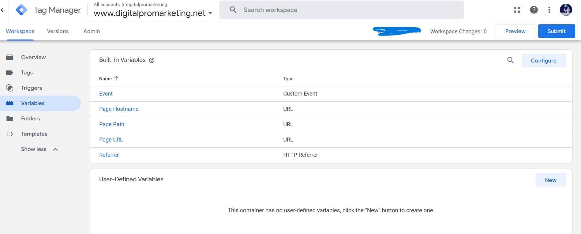 Variables section showing built-in variables enabled but no user-defined variables
